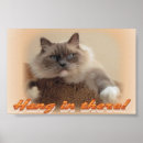 Suche nach ragdoll katzen poster Natur
