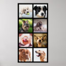 Suche nach lustige hunde poster Jede person