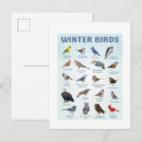 Suche nach wintervögel postkarten Schneevögel
