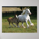 Suche nach sinti und roma vanner poster Bob sprache