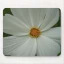 Suche nach weiße wildblumen mousepads Blumenfotografie