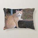 Suche nach orange katze kissen Jede person