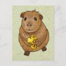 Suche nach meerschweinchen cartoon Lustig