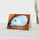 Suche nach weiße ratte karten Haustiere