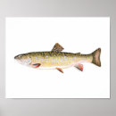 Suche nach brooke poster Trout