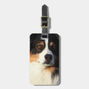 Suche nach australian shepherd gepäckanhänger Hirte