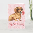 Suche nach glatte dackel karten Für alle