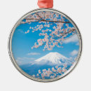 Suche nach der fujisan Berg