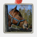 Suche nach lustige fotos ornamente Jede person