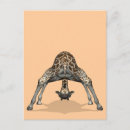 Suche nach gymnastik postkarten Für alle