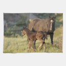 Suche nach braunes pferd geschirr tücher Wildpferd