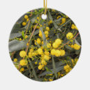 Suche nach akazie Mimosa