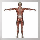 Suche nach small arms poster Hand