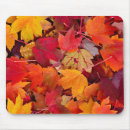 Suche nach ahorn mousepads Orange