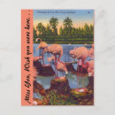 Suche nach florida flamingos postkarten Tropisch