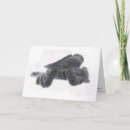 Suche nach aufrichtig karten Tod