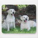 Suche nach lächelnder hund mousepads Welpe