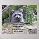 Suche nach raccoons poster Wildtiere
