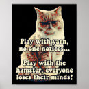 Suche nach wütende katze poster Kätzchen