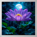 Suche nach lotus poster Botanisch