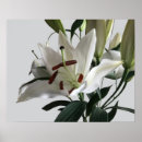 Suche nach oriental poster Elegant