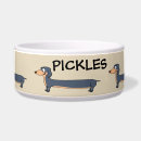 Suche nach dackel hundezubehör Niedlicher hund