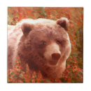 Suche nach braunbär fliesen Portrait