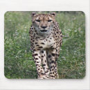 Suche nach gepard mousepads Jede person