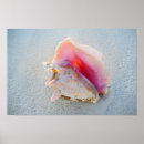 Suche nach verzieren poster Strand