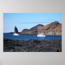 Suche nach galapagos poster Ozean