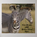 Suche nach zebras poster Tierwelt