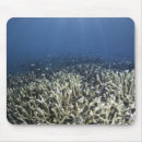Suche nach totem mousepads Tiere
