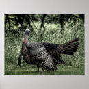 Suche nach weide poster Im freien