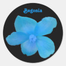 Suche nach beton aufkleber Blume
