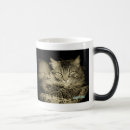 Suche nach versagte tasse tassen Kollege