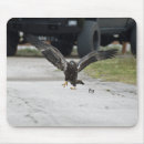 Suche nach weißkopfseeadler mousepads Natur
