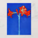 Suche nach piet mondrian postkarten Amaryllis gemälde