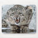 Suche nach wilde katzen mousepads Gefährdet