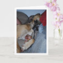 Suche nach knochenhund Hunde