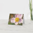 Suche nach rosen rose beileidskarten Untergang