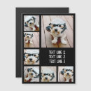 Suche nach gitter magnete Für alle