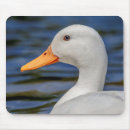 Suche nach weiße enten mousepads Wasservögel