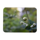 Suche nach gardener magnete Blumenreich