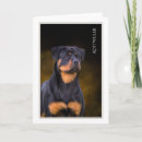 Suche nach rottweiler waren karten Hund