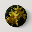 Suche nach orchidee buttons Jede person