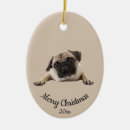 Suche nach pug ornamente Haustier