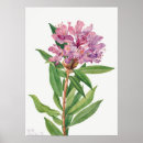 Suche nach rhododendron poster Vintag