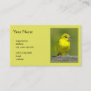 Suche nach singvogel visitenkarten Wildvogel