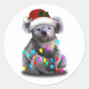 Suche nach koala weihnachten Koalgebär