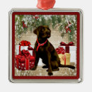 Suche nach weihnachtsschokolade ornamente Hund